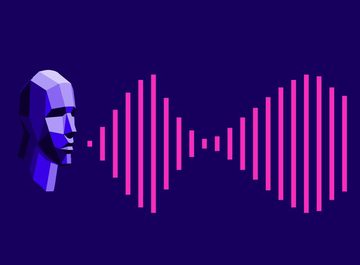 Robust Spoken Language Recognition